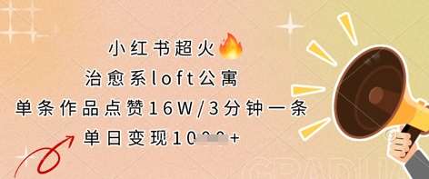 “治愈系Loft公寓：揭秘单日变现秘籍，3分钟打造16万点赞超火作品”-聚合资源库