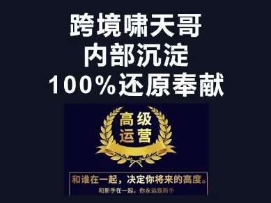 “漫威特训营：揭秘跨境电商的成功秘诀”-聚合资源库