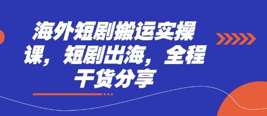 “揭秘：海外短剧搬运的制胜策略与实操技巧”-聚合资源库