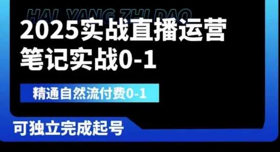 “2025年直播运营全攻略：自然流付费流量增长秘籍”-聚合资源库