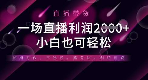 “直播带货新攻略：小白也能轻松上手，实现利润翻倍的秘诀”-聚合资源库