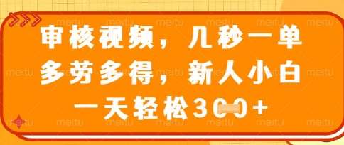 “视频审核技巧：高效提升审核速度，新手也能日赚三位数！”-聚合资源库