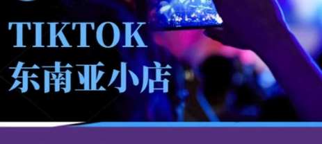 “掌握Tiktok东南亚市场：专业TK小店运营策略与技巧全解析”-聚合资源库
