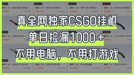 “CSGO挂机秘籍：日赚1k+的捡漏技巧大揭秘”-聚合资源库