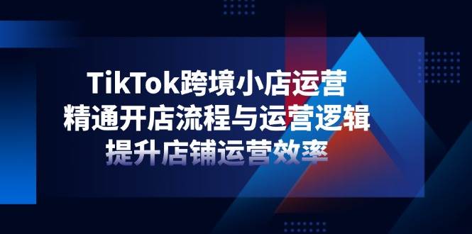 “揭秘TikTok跨境电商：掌握开店与运营秘籍，轻松提升店铺销量”-聚合资源库