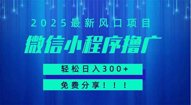 微信小程序广告变现秘籍：日赚300+，免费策略分享，适合批量操作，小白也能轻松上手！-聚合资源库