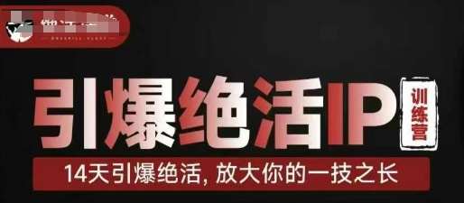 14天掌握绝活：如何将你的特长转化为不可抗拒的影响力-聚合资源库