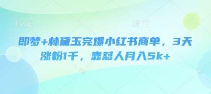 “揭秘：林黛玉式策略如何3天吸粉千人，月入破5K+”-聚合资源库