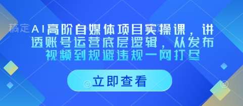 “AI自媒体项目全攻略：账号运营精髓与视频发布到合规规避的一站式指南”-聚合资源库