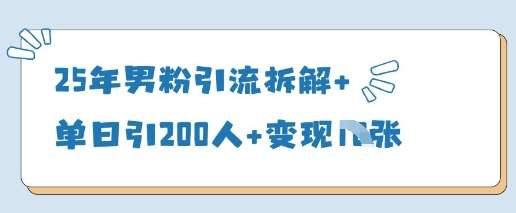 “揭秘：25年经验男性粉丝引流秘籍，单日吸引200+粉丝的变现策略”-聚合资源库