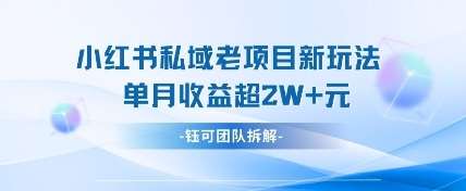 “小红书私域营销新策略：单月轻松实现万元级收入”-聚合资源库
