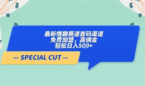 “轻云情趣赛道加盟：高佣金策略助您日赚五位数以上！”-聚合资源库