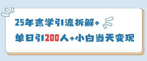 “25年国学智慧：单日引流200人秘籍，小白也能快速变现技巧”-聚合资源库