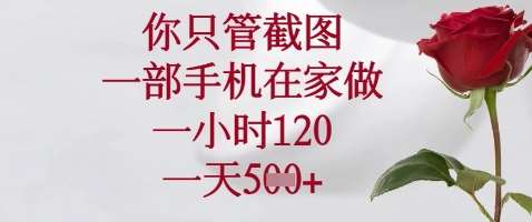 “在家轻松截图赚钱：苹果安卓手机均可，每小时120元，日赚5张以上！”-聚合资源库