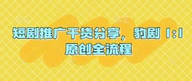 “原创短剧推广秘籍：豹剧全流程揭秘”-聚合资源库
