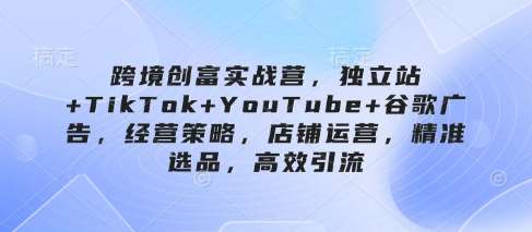 “跨境电商盈利秘籍：独立站营销+TikTok影响力+YouTube策略+谷歌广告优化全揭秘”-聚合资源库