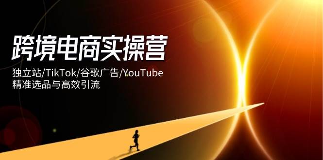 “跨境电商实操攻略：打造独立站，玩转TikTok，谷歌广告与YouTube，实现精准选品与高效引流”-聚合资源库