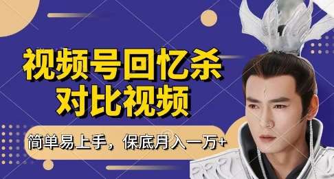 “揭秘：新手如何1小时日入过万？视频号分成计划的赚钱秘籍！”-聚合资源库