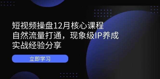 掌握短视频流量秘籍：打造爆款IP与实战技巧全解析-聚合资源库