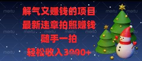 “揭秘：如何通过捕捉违章照片轻松赚取额外收入”-聚合资源库
