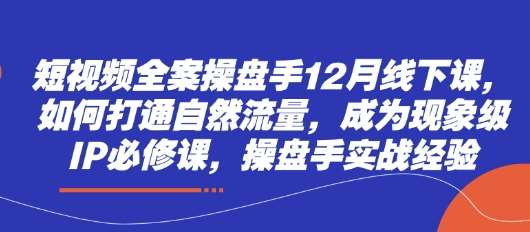 “短视频流量突破：打造爆款IP的实战秘籍”-聚合资源库