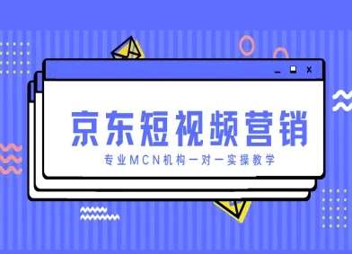 “京东短视频营销优化秘籍：MCN专家一对一实操策略全解析”-聚合资源库