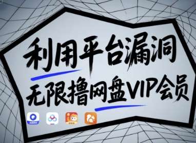 “揭秘：如何零成本享受网盘VIP会员？漏洞技巧大公开！”-聚合资源库