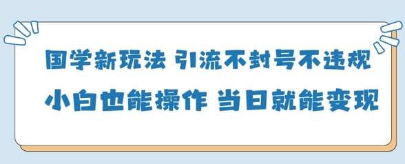 “国学新玩法揭秘：轻松引流变现，小白也能快速上手”-聚合资源库