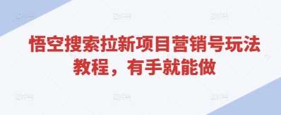 “悟空搜索拉新项目：掌握这些营销号技巧，新手也能轻松上手！”-聚合资源库