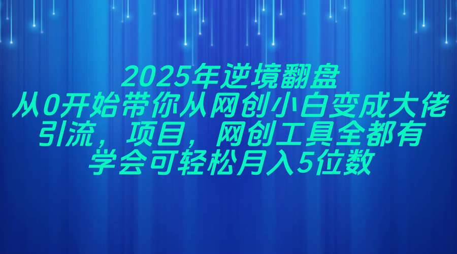 2025年逆境翻盘：零基础网创小白的蜕变之路，掌握引流与项目技巧-聚合资源库