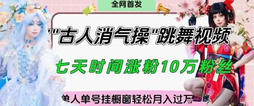 “古人消气养生操实战秘籍：视频风口下的月入过万秘籍”-聚合资源库