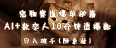 “宠物赛道销量飙升：揭秘AI与数字人的10分钟爆款秘诀，日赚千元不是梦！”-聚合资源库