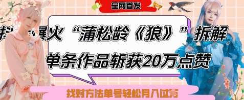 《狼》蒲松龄：揭秘6条作品如何爆火，24W粉丝飙升，单条20W点赞背后的秘诀-聚合资源库