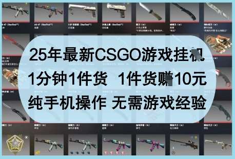 “CSGO游戏挂机赚钱秘籍：手机操作1分钟赚10元，无需游戏经验！”-聚合资源库