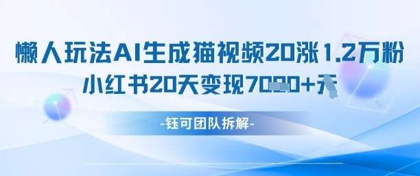 “懒人也能成为猫咪视频达人：20天粉丝激增1.2万，小红书变现7k秘诀大公开”-聚合资源库