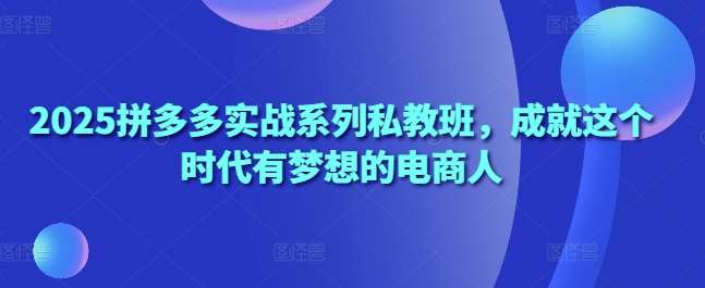 解锁2025电商新趋势：拼多多实战私教班助你成就电商梦想-聚合资源库