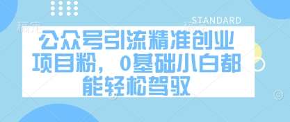 “零基础新手也能轻松上手：精准引流创业项目粉的高效策略”-聚合资源库