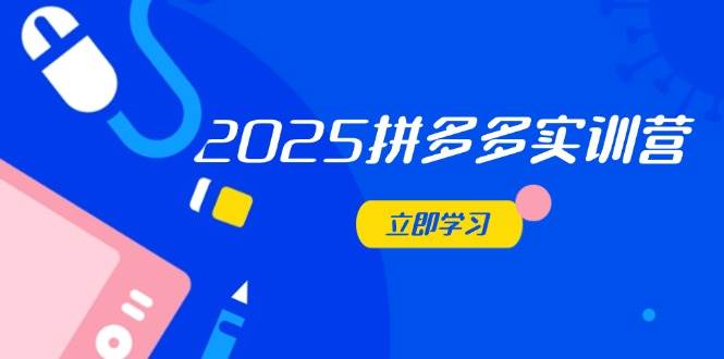 拼多多电商运营实战：2025年深度解析与提升秘籍-聚合资源库