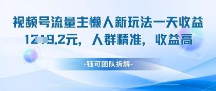 “日入千元秘籍：精准引流与高效转化的懒人视频营销策略”-聚合资源库