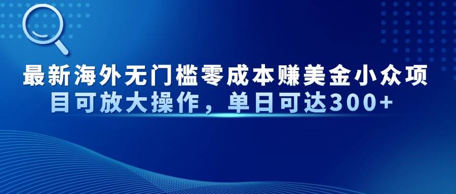 揭秘：海外零成本日赚300美金的小众商机，无限放大你的收益潜力！-聚合资源库