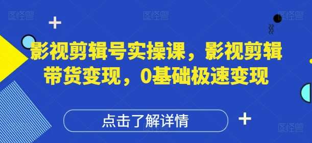 “零基础速成：揭秘影视剪辑号变现实战技巧”-聚合资源库