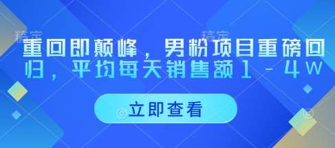 “男性粉丝狂欢！每天1-4万销售额的秘密项目震撼归来”-聚合资源库