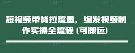 “揭秘：短视频带货流量倍增秘籍，实操全流程深度解析”-聚合资源库