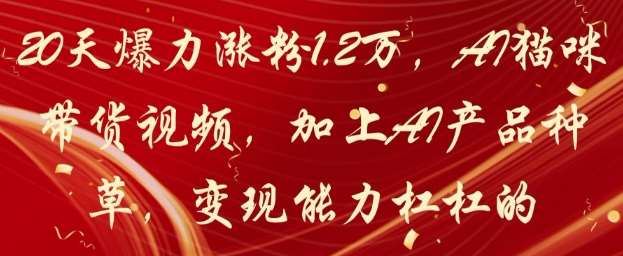 “AI猫咪引领带货潮流：20天内粉丝激增1.2万，揭秘高效变现秘籍”-聚合资源库