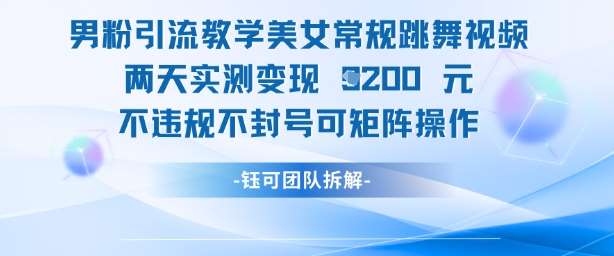 “独家揭秘：美女舞蹈视频引流秘籍，两天收入翻倍的实战技巧！”-聚合资源库