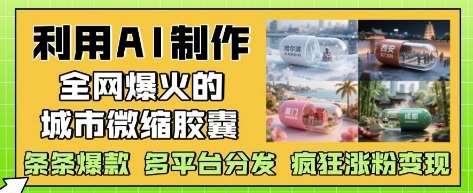 “揭秘：如何打造城市微缩胶囊，引爆网络流量与粉丝增长秘籍”-聚合资源库