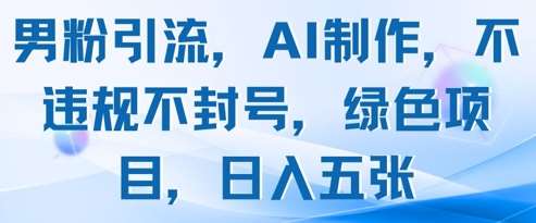 “揭秘：男性粉丝如何被AI精准引流？日入五位数的绿色项目大揭秘”-聚合资源库