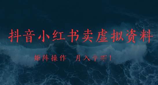 “揭秘：如何利用抖音小红书月入过万，虚拟资料销售秘籍大公开”-聚合资源库
