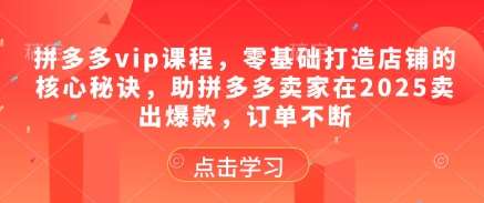 “拼多多店铺快速成长秘籍：零基础打造爆款，2025年销量飙升的实战策略”-聚合资源库