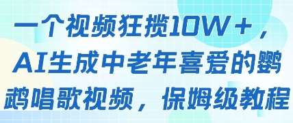 “揭秘：如何制作吸引中老年观众的鹦鹉唱歌视频，轻松获得10万+点赞！”-聚合资源库